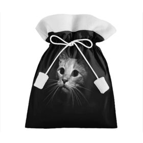 Подарочный 3D мешок с принтом Кошачья морда в Кировске, 100% полиэстер | Размер: 29*39 см | кот | кошка | темнота