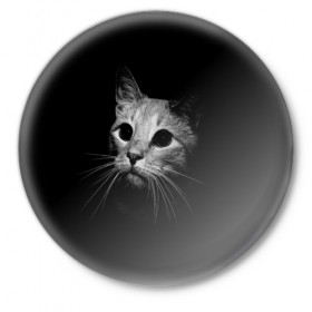 Значок с принтом Кошачья морда в Кировске,  металл | круглая форма, металлическая застежка в виде булавки | кот | кошка | темнота