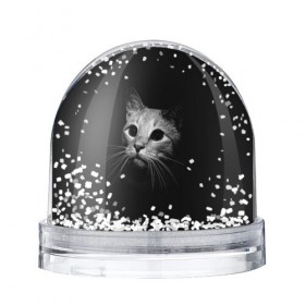 Снежный шар с принтом Кошачья морда в Кировске, Пластик | Изображение внутри шара печатается на глянцевой фотобумаге с двух сторон | кот | кошка | темнота