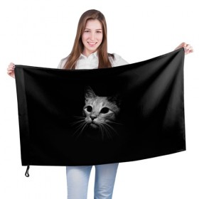Флаг 3D с принтом Кошачья морда в Кировске, 100% полиэстер | плотность ткани — 95 г/м2, размер — 67 х 109 см. Принт наносится с одной стороны | кот | кошка | темнота
