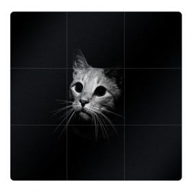Магнитный плакат 3Х3 с принтом Кошачья морда в Кировске, Полимерный материал с магнитным слоем | 9 деталей размером 9*9 см | кот | кошка | темнота