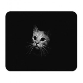 Коврик для мышки прямоугольный с принтом Кошачья морда в Кировске, натуральный каучук | размер 230 х 185 мм; запечатка лицевой стороны | кот | кошка | темнота