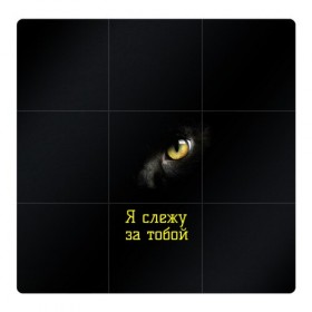 Магнитный плакат 3Х3 с принтом Следящий кошачий глаз в Кировске, Полимерный материал с магнитным слоем | 9 деталей размером 9*9 см | кот в темноте | кошачий глаз