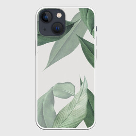 Чехол для iPhone 13 mini с принтом Из тропиков в Кировске,  |  | branch | foliage | leafy | nature | ветка | веточка | зеленый | лист | листочки | листья | природа | черный