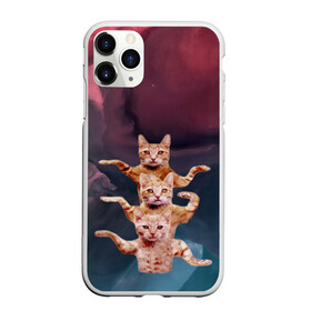 Чехол для iPhone 11 Pro Max матовый с принтом Танцующие коты в Кировске, Силикон |  | Тематика изображения на принте: cats | забавный | котики | коты | мем | прикол | смешная | танцующие коты