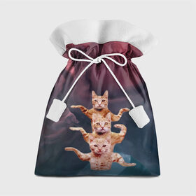Подарочный 3D мешок с принтом Танцующие коты в Кировске, 100% полиэстер | Размер: 29*39 см | Тематика изображения на принте: cats | забавный | котики | коты | мем | прикол | смешная | танцующие коты