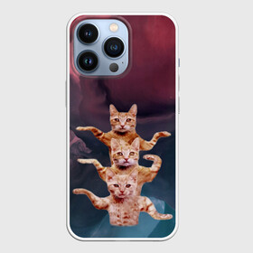 Чехол для iPhone 13 Pro с принтом Танцующие коты в Кировске,  |  | Тематика изображения на принте: cats | забавный | котики | коты | мем | прикол | смешная | танцующие коты