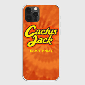 Чехол для iPhone 12 Pro Max с принтом Cactus Jack в Кировске, Силикон |  | Тематика изображения на принте: reeses puffs | travis scott | джэк | кактус | трэвис скотт