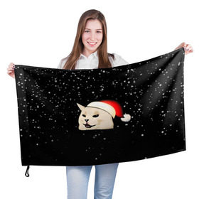 Флаг 3D с принтом woman yelling at cat в Кировске, 100% полиэстер | плотность ткани — 95 г/м2, размер — 67 х 109 см. Принт наносится с одной стороны | happy new year | mem | woman yelling at cat | женщина кричит на кота | мем | новый год