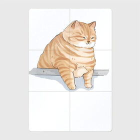 Магнитный плакат 2Х3 с принтом Толстый Кот в Кировске, Полимерный материал с магнитным слоем | 6 деталей размером 9*9 см | Тематика изображения на принте: cat | cat meme | интернет | кот | кот кусь | кот мем | котейка | котенок | кошак | мем | мем с котом | мемы с котиками | приколы | удивленный кот мем