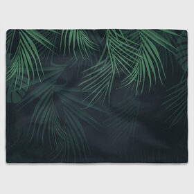 Плед 3D с принтом Пальмовый узор в Кировске, 100% полиэстер | закругленные углы, все края обработаны. Ткань не мнется и не растягивается | Тематика изображения на принте: джунгли | зелёный | лепестки | лепесток | лес | листья | пальма | пальмы | папоротник | салатовый | тропики | черный