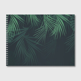 Альбом для рисования с принтом Пальмовый узор в Кировске, 100% бумага
 | матовая бумага, плотность 200 мг. | джунгли | зелёный | лепестки | лепесток | лес | листья | пальма | пальмы | папоротник | салатовый | тропики | черный