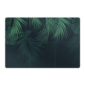 Магнитный плакат 3Х2 с принтом Пальмовый узор в Кировске, Полимерный материал с магнитным слоем | 6 деталей размером 9*9 см | джунгли | зелёный | лепестки | лепесток | лес | листья | пальма | пальмы | папоротник | салатовый | тропики | черный