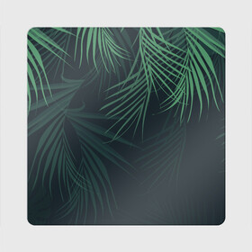 Магнит виниловый Квадрат с принтом Пальмовый узор в Кировске, полимерный материал с магнитным слоем | размер 9*9 см, закругленные углы | джунгли | зелёный | лепестки | лепесток | лес | листья | пальма | пальмы | папоротник | салатовый | тропики | черный