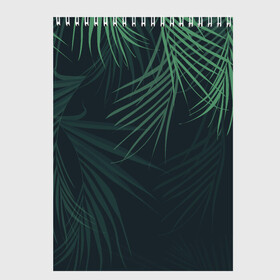 Скетчбук с принтом Пальмовый узор в Кировске, 100% бумага
 | 48 листов, плотность листов — 100 г/м2, плотность картонной обложки — 250 г/м2. Листы скреплены сверху удобной пружинной спиралью | джунгли | зелёный | лепестки | лепесток | лес | листья | пальма | пальмы | папоротник | салатовый | тропики | черный
