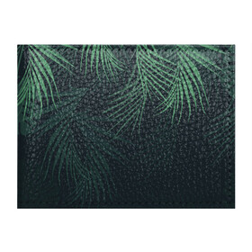 Обложка для студенческого билета с принтом Пальмовый узор в Кировске, натуральная кожа | Размер: 11*8 см; Печать на всей внешней стороне | джунгли | зелёный | лепестки | лепесток | лес | листья | пальма | пальмы | папоротник | салатовый | тропики | черный