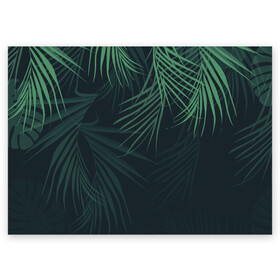 Поздравительная открытка с принтом Пальмовый узор в Кировске, 100% бумага | плотность бумаги 280 г/м2, матовая, на обратной стороне линовка и место для марки
 | джунгли | зелёный | лепестки | лепесток | лес | листья | пальма | пальмы | папоротник | салатовый | тропики | черный