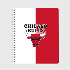 Тетрадь с принтом CHICAGO BULLS в Кировске, 100% бумага | 48 листов, плотность листов — 60 г/м2, плотность картонной обложки — 250 г/м2. Листы скреплены сбоку удобной пружинной спиралью. Уголки страниц и обложки скругленные. Цвет линий — светло-серый
 | Тематика изображения на принте: bulls | chicago | chicago bulls | nba | red bulls | usa | америка | быки | нба | сша | чикаго буллс