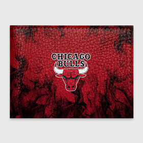 Обложка для студенческого билета с принтом CHICAGO BULLS | ЧИКАГО БУЛЛС в Кировске, натуральная кожа | Размер: 11*8 см; Печать на всей внешней стороне | Тематика изображения на принте: 23 | bright | bulls | chicago bulls | fire | flame | heat | jordan | light | logo | michael jordan | nba | paris saint germain | psg | red | sport | wildfire | быки | джордан | искры | лого | майкл джордан | огненный | огонь | пламя | пожар