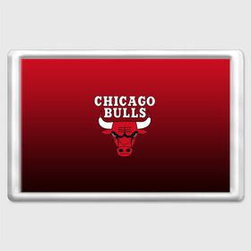 Магнит 45*70 с принтом CHICAGO BULLS в Кировске, Пластик | Размер: 78*52 мм; Размер печати: 70*45 | bulls | chicago | chicago bulls | nba | red bulls | usa | америка | быки | нба | сша | чикаго буллс