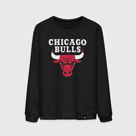 Мужской свитшот хлопок с принтом CHICAGO BULLS в Кировске, 100% хлопок |  | bulls | chicago | chicago bulls | nba | red bulls | usa | америка | быки | нба | сша | чикаго буллс