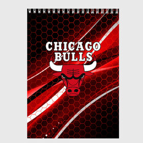 Скетчбук с принтом CHICAGO BULLS в Кировске, 100% бумага
 | 48 листов, плотность листов — 100 г/м2, плотность картонной обложки — 250 г/м2. Листы скреплены сверху удобной пружинной спиралью | bulls | chicago | chicago bulls | nba | red bulls | usa | америка | быки | нба | сша | чикаго буллс