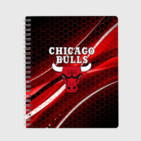 Тетрадь с принтом CHICAGO BULLS в Кировске, 100% бумага | 48 листов, плотность листов — 60 г/м2, плотность картонной обложки — 250 г/м2. Листы скреплены сбоку удобной пружинной спиралью. Уголки страниц и обложки скругленные. Цвет линий — светло-серый
 | Тематика изображения на принте: bulls | chicago | chicago bulls | nba | red bulls | usa | америка | быки | нба | сша | чикаго буллс