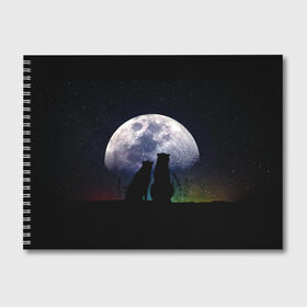 Альбом для рисования с принтом Льбовь под луной в Кировске, 100% бумага
 | матовая бумага, плотность 200 мг. | волшебство ночи | котики | любовь | пара | романтика