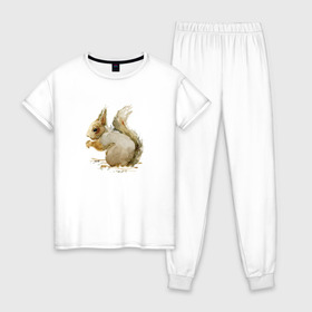 Женская пижама хлопок с принтом Белка в Кировске, 100% хлопок | брюки и футболка прямого кроя, без карманов, на брюках мягкая резинка на поясе и по низу штанин | акварель | белка | рисунок