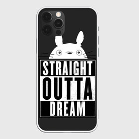 Чехол для iPhone 12 Pro Max с принтом Тоторо Straight outta dream в Кировске, Силикон |  | Тематика изображения на принте: anime | hayao miyazaki | japanese | meme | miyazaki | piano | studio ghibli | tokyo | totoro | гибли | котобус | мой | сосед | сусуватари | тонари | тоторо | хаяо миядзаки