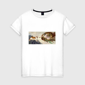 Женская футболка хлопок с принтом Сотворение Адама и кот в Кировске, 100% хлопок | прямой крой, круглый вырез горловины, длина до линии бедер, слегка спущенное плечо | mem | memes | весело | искусство | кот | котик | мем | прикол | сотворение адама