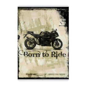 Магнитный плакат 2Х3 с принтом Born to Ride в Кировске, Полимерный материал с магнитным слоем | 6 деталей размером 9*9 см | байк | байкер | байкеру | байкерше | беспечный ездок | ветер | гонки | дорога | езда | ездок | мото | мотобайк | мотогонки | мотокросс | мотор | мотоспорт | мотоцикл | мотоциклист | мотоциклисту