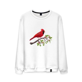 Мужской свитшот хлопок с принтом Красный кардинал в Кировске, 100% хлопок |  | cardinalis cardinalis | красный кардинал | новогодняя птица | птица | птичка | рождественская птица