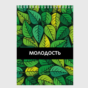 Скетчбук с принтом Молодость глупость в Кировске, 100% бумага
 | 48 листов, плотность листов — 100 г/м2, плотность картонной обложки — 250 г/м2. Листы скреплены сверху удобной пружинной спиралью | Тематика изображения на принте: глупость | жизнь | зелень | листья | молодость | надпись