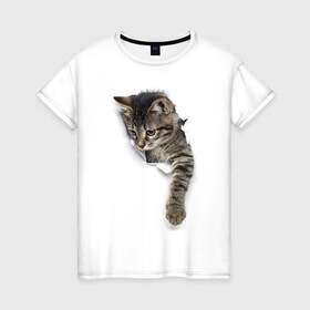 Женская футболка хлопок с принтом 3д кот в Кировске, 100% хлопок | прямой крой, круглый вырез горловины, длина до линии бедер, слегка спущенное плечо | 3d | 3д | животные | кот | котик | кошка | прикольная картинка