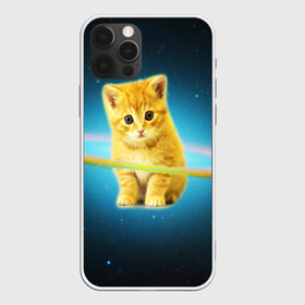 Чехол для iPhone 12 Pro с принтом Рыжий Котик в Кировске, силикон | область печати: задняя сторона чехла, без боковых панелей | cat | cats | животные | киса | киска | кот | котики | коты | котэ | кошка | природа