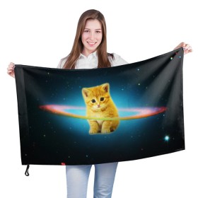 Флаг 3D с принтом Рыжий Котик в Кировске, 100% полиэстер | плотность ткани — 95 г/м2, размер — 67 х 109 см. Принт наносится с одной стороны | cat | cats | животные | киса | киска | кот | котики | коты | котэ | кошка | природа