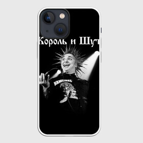 Чехол для iPhone 13 mini с принтом Король и Шут + Анархия (спина) в Кировске,  |  | punk | rock | киш | король | король и шут | михаил горшенев | панки | рок | русский рок | шут