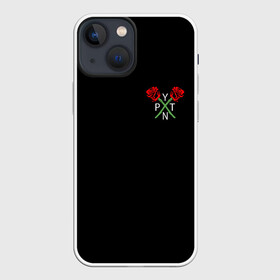 Чехол для iPhone 13 mini с принтом PAYTON MOORMEIER (НА СПИНЕ) в Кировске,  |  | flower | payton moormeier | roses | tiktok | автограф payton | блогер | пейтон | пейтон моормиер | розы | тикток | тиктокер | цветы | ютубер