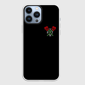 Чехол для iPhone 13 Pro Max с принтом PAYTON MOORMEIER (НА СПИНЕ) в Кировске,  |  | flower | payton moormeier | roses | tiktok | автограф payton | блогер | пейтон | пейтон моормиер | розы | тикток | тиктокер | цветы | ютубер