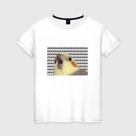 Женская футболка хлопок с принтом Орущий попугай в Кировске, 100% хлопок | прямой крой, круглый вырез горловины, длина до линии бедер, слегка спущенное плечо | mem | забавный | мем | орущий попугай | попугай | прикол | птица | смешной | юмор