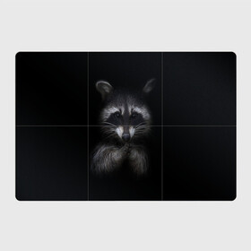 Магнитный плакат 3Х2 с принтом енот в Кировске, Полимерный материал с магнитным слоем | 6 деталей размером 9*9 см | енот | енот хайп | еноты | животные | лайв тудей