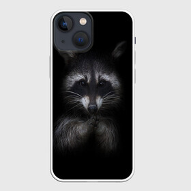 Чехол для iPhone 13 mini с принтом енот в Кировске,  |  | Тематика изображения на принте: енот | енот хайп | еноты | животные | лайв тудей
