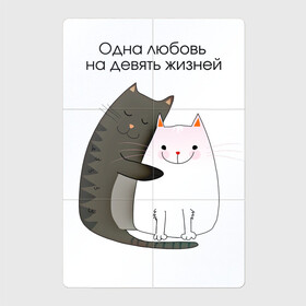 Магнитный плакат 2Х3 с принтом Любовь на девять жизней в Кировске, Полимерный материал с магнитным слоем | 6 деталей размером 9*9 см | 14 февраля | 8 марта | валентинов день | верность | влюбленность | влюбленные | вместе навсегда | двое | девичник | девушке | кот | коты | кошка | кошки | любимая | любимый | люблю | люблю тебя | мы с тобо