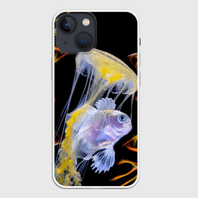 Чехол для iPhone 13 mini с принтом медуза в Кировске,  |  | fish | sea | водоросли | майки с морем | майки с прикольными рыбками | майки с рыбками | медуза | море | морская рыба | морские картинки | морские фото | прикольные рыбки | рыба | рыбка | рыбки