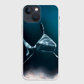 Чехол для iPhone 13 mini с принтом акула в Кировске,  |  | fish | sea | shark | акула | водоросли | майки с морем | майки с прикольными рыбками | майки с рыбками | море | морская рыба | морские картинки | морские фото | прикольные рыбки | рыба | рыбка | хищная рыба