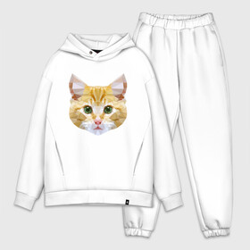 Мужской костюм хлопок OVERSIZE с принтом Кошечка в Кировске,  |  | animal | cat | cute | kitty | meow | друг | животные | киска | китти | кот | котенок | котик | кошечка | кошка | лев | леопард | милый | мур | мяу | пантера | питомец | рысь | тигр | улыбка