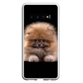Чехол для Samsung Galaxy S10 с принтом Рыжий Шпиц в Кировске, Силикон | Область печати: задняя сторона чехла, без боковых панелей | Тематика изображения на принте: детская | женская | купить | мужская | пес | рисунки щенков | рыжий | с принтом | с собаками | с собакой | со шпицами | со щенком | собака | собаки | шпиц | щенок