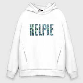 Мужское худи Oversize хлопок с принтом KELPIE в Кировске, френч-терри — 70% хлопок, 30% полиэстер. Мягкий теплый начес внутри —100% хлопок | боковые карманы, эластичные манжеты и нижняя кромка, капюшон на магнитной кнопке | Тематика изображения на принте: fantastic beasts: the crimes of grindelwald | vdosadir | wizarding world | водяная лошадка | водяной демон | кельпи