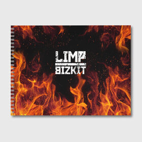 Альбом для рисования с принтом LIMP BIZKIT в Кировске, 100% бумага
 | матовая бумага, плотность 200 мг. | Тематика изображения на принте: dj lethal | limp bizkit | rock | джон отто | лимп бизкит | майк смит | музыка | роб уотерс | рок | сэм риверс | терри бальзамо | уэс борланд | фред дёрст